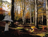 http://c328301.r1.cf1.rackcdn.com/DPI1798333LARGE.jpg