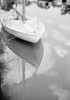 Small sailboat on lake Poster Print - Item # VARSAL255422802