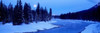 Moon Rising Above The Forest  Banff National Park  Alberta  Canada Poster Print by Panoramic Images (37 x 12) - Item # PPI86710