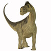 Camarasaurus was a sauropod herbivore dinosaur that lived during the Jurassic Era of North America Poster Print - Item # VARPSTCFR200341P