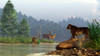 A saber-toothed cat looks across a river at a family of deer Poster Print - Item # VARPSTDEK600035P