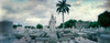 Statues of Virgin and Child at Colon Cemetery in Vedado, Havana, Cuba Poster Print - Item # VARPPI169834
