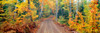 http://c328301.r1.cf1.rackcdn.com/PPI159968L.jpg