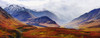 Fall Colours And Alaska Range, Denali National Park, Alaska PosterPrint - Item # VARDPI2032238
