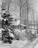 USA  New Hampshire  winter landscape Poster Print - Item # VARSAL255420631