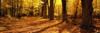 http://c328301.r1.cf1.rackcdn.com/PPI70333L.jpg