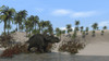 Triceratops walking along the shoreline Poster Print
