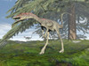Compsognathus dinosaur under fir tree Poster Print - Item # VARPSTEDV600156P