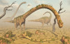 Living fossilized Omeisaurus sauropod dinosaurs go about life in a prehistoric landscape. Poster Print - Item # VARPSTMAS100350P