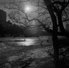 USA  New York City  Manhattan  Winter sunset in Central Park Poster Print - Item # VARSAL255421785
