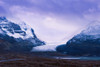 Athabasca Glacier, Columbia Icefields, Jasper National Park, Alberta PosterPrint - Item # VARDPI2046389