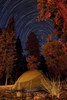 A tent and pine trees against a backdrop of star trails in Lassen Volcanic National Park, California Poster Print - Item # VARPSTBRR200014S