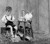 Boy painting easter egg Poster Print