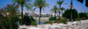 Cafe at the riverside, Guadalquivir River, Seville, Seville Province, Andalusia, Spain Poster Print - Item # VARPPI43016