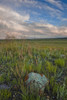 Sunset over the prairies in Grasslands National Park; Saskatchewan, Canada PosterPrint - Item # VARDPI2324127