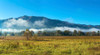 Fog over mountain, Cades Cove, Great Smoky Mountains National Park, Tennessee, USA Poster Print - Item # VARPPI167182