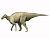 Pararhabdodon isonensis, Late Cretaceous of Spain Poster Print - Item # VARPSTNBT600034P