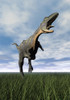 Aucasaurus dinosaur running on the green grass with mouth open Poster Print - Item # VARPSTEDV600099P