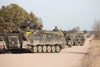 Marder infantry fighting vehicles of the German Army training for Afghanistan deployment during Exercise Bora at Letzlingen Army Training Center, Germany Poster Print - Item # VARPSTTZG100025M