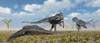 Carnivorous Allosaurus dinosaurs approaching the carcass of a dead Diplodocus sauropod dinosaur Poster Print - Item # VARPSTMAS600073P