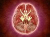 Conceptual image of cranial nerves in human brain Poster Print - Item # VARPSTSTK700560H