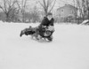 Three boys sledding down on slope Poster Print - Item # VARSAL255421621