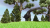 Large Brachiosaurus grazing among trees Poster Print - Item # VARPSTKVA600013P