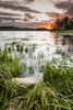 Sunset over a pond; Thunder Bay, Ontario, Canada PosterPrint - Item # VARDPI12301414