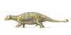 3D rendering of an Ankylosaurus dinosaur with full skeleton superimposed, side view. This armored dinosaur lived in the early Mesozoic era Poster Print - Item # VARPSTVET600024P