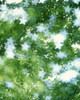 Kaleidoscopic scene with white stars with green and blue Poster Print by Panoramic Images (20 x 24) - Item # PPI117900