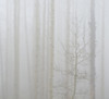 http://c328301.r1.cf1.rackcdn.com/PPI166251S.jpg