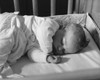 High angle view of a baby sleeping in a crib Poster Print - Item # VARSAL2551050A