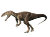 Eustreptospondylus dinosaur, white background Poster Print - Item # VARPSTNBT600103P