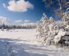 http://c328301.r1.cf1.rackcdn.com/PPI153838S.jpg