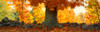 http://c328301.r1.cf1.rackcdn.com/PPI32284L.jpg