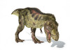 Tyrannosaurus Rex dinosaur on white background with drop shadow Poster Print - Item # VARPSTVET600068P