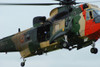 The Sea King Helicopter in use by the Belgian Air Force Poster Print - Item # VARPSTJAE100170M