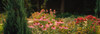 http://c328301.r1.cf1.rackcdn.com/PPI152720S.jpg