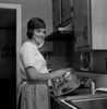 Woman washing dishes and smiling Poster Print - Item # VARSAL255421681