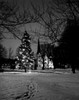 Christmas tree in winter landscape Poster Print - Item # VARSAL255416517
