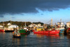 Greencastle, County Donegal, Ireland; Boats In Harbour PosterPrint - Item # VARDPI1828813