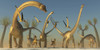 Dilophosaurus and pterosaurs join a Diplodocus dinosaur herd on their search for food Poster Print - Item # VARPSTCFR200275P