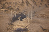 Aerial view of an Iraqi ammunition magazine destroyed by U.S. and coalition forces Poster Print - Item # VARPSTTMO100771M