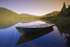 http://c328301.r1.cf1.rackcdn.com/DPI2063824LARGE.jpg
