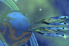 Two spacecraft fly to their home planet Poster Print