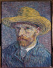Self Portrait with Straw Hat   1888  Vincent van Gogh  Oil on canvas  Poster Print - Item # VARSAL3810315069