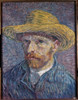 Self Portrait with Straw Hat   1888  Vincent van Gogh  Oil on canvas  Poster Print - Item # VARSAL3810315069