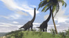 Two large Brachiosaurus grazing on a tall tree Poster Print - Item # VARPSTKVA600128P