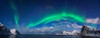 Aurora borealis above Flaget bay, Lofoten, Nordland, Norway Poster Print - Item # VARPPI169400