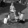 Parents with twin sons reading book sitting on lawn Poster Print - Item # VARSAL255418298
